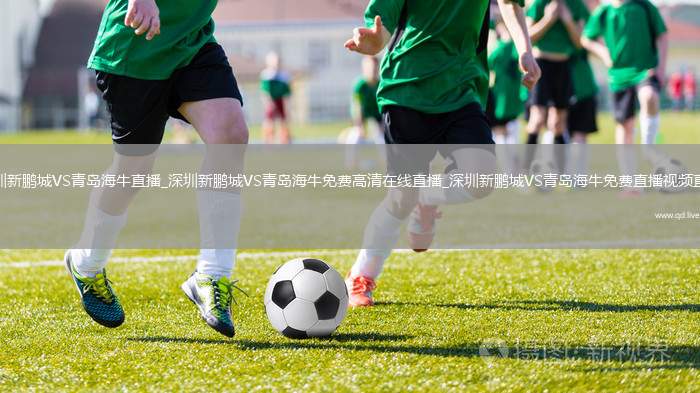 深圳新鹏城VS青岛海牛直播_深圳新鹏城VS青岛海牛免费高清在线直播_深圳新鹏城VS青岛海牛免费直播视频直播